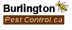 Burlington Pest Control